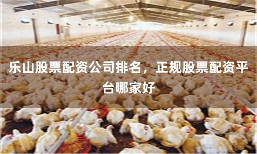 乐山股票配资公司排名，正规股票配资平台哪家好