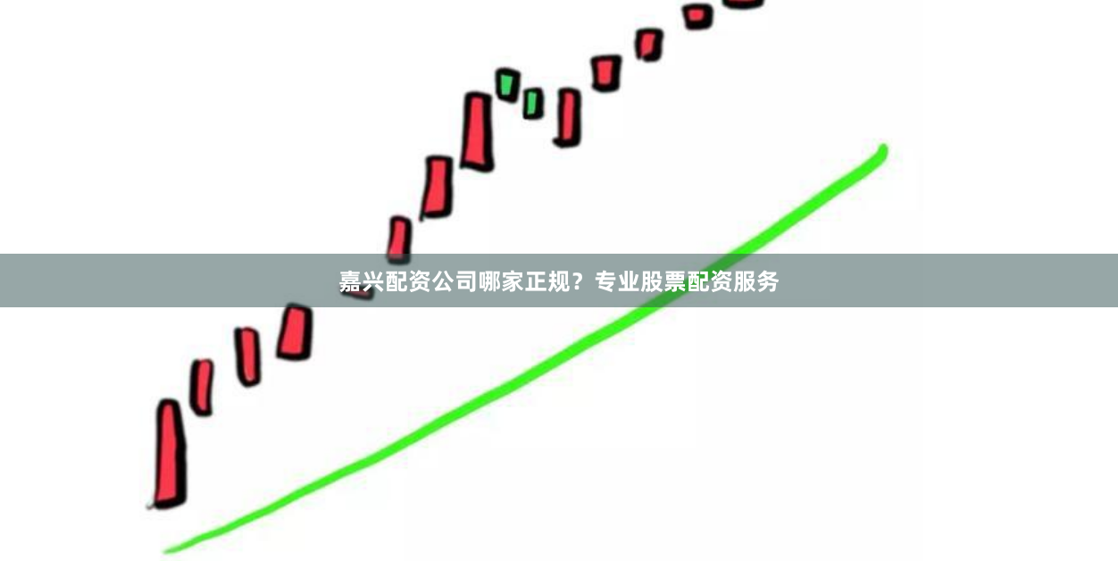 嘉兴配资公司哪家正规？专业股票配资服务